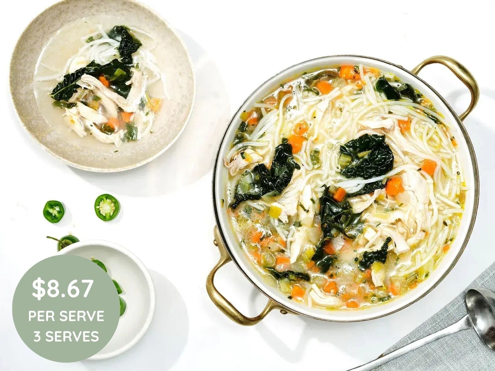 Chicken & Vegetable Noodle Soup