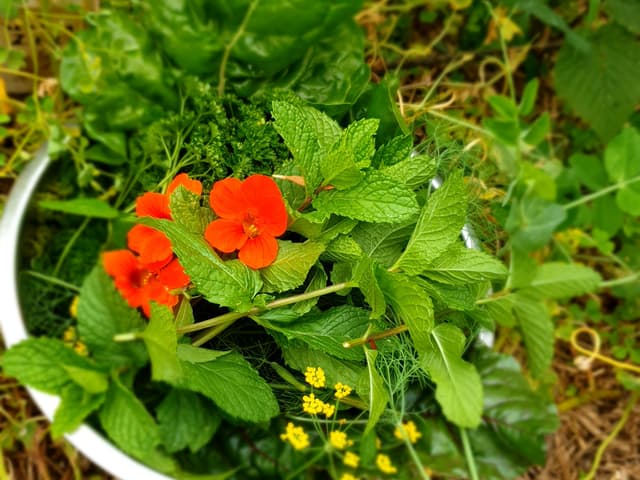 Smoked Trout & Rocket Pesto Risotto