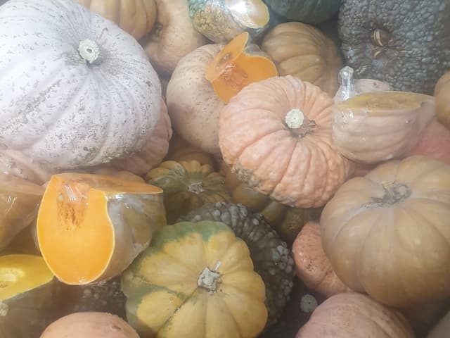 Ricotta & Pumpkin Salad w Quinoa, Seeds, & Herbs