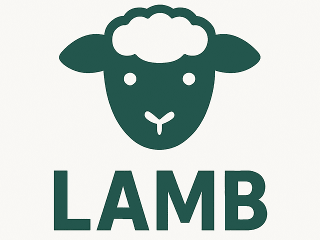 NEW! MOROCCAN LAMB + BROCCOLI RICE BOWL