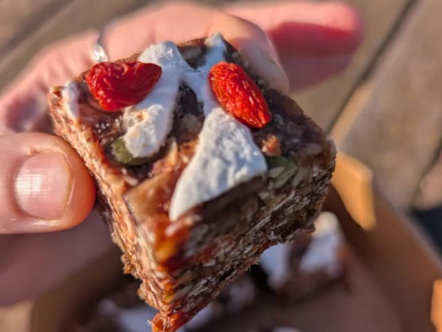 Oat & Date Bliss Bites with Goji & Coconut