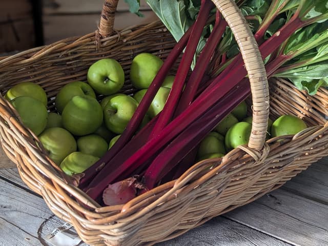 Apple and Rhubarb Crumble with Vanilla Bean Custard