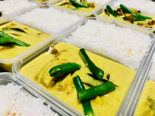 Chinese Chicken Curry with Steamed Rice Large