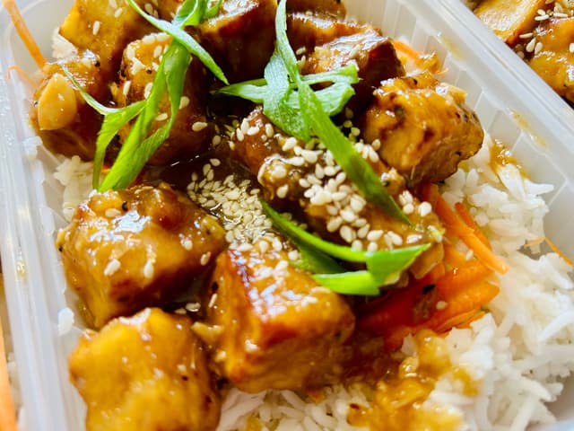 FROZEN: Sweet & Sour Pork with Rice