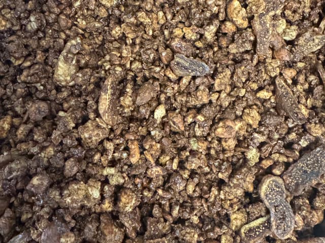 Fig & Dark Chocolate Granola