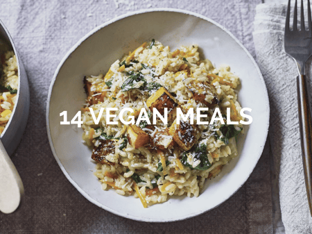 14 Vegan Meals