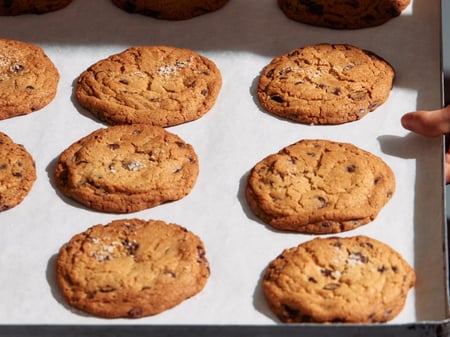 Chocolate Chip Cookie