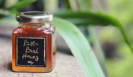 Bilpin Bush Honey 150g