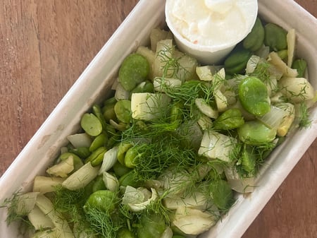 Braised fennel with broad beans, yoghurt and fresh herbs