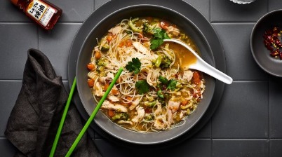 chicken & vegetable noodle soup