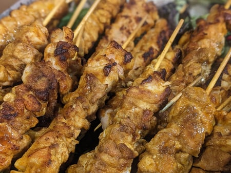 Spiced Chicken Skewers | GF - DF - Halal