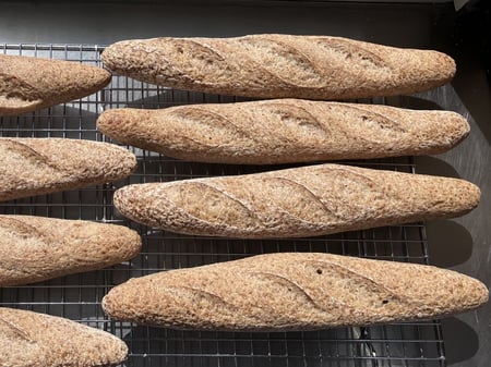 Birdseed baguette