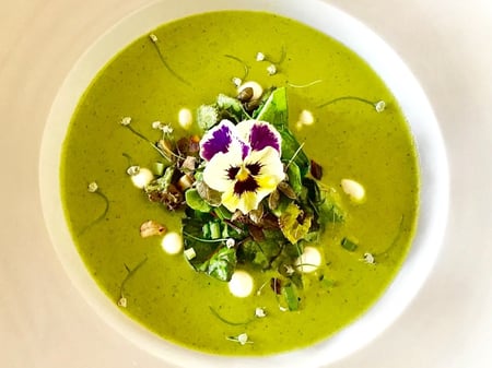 Green Gazpacho Summer Soup 