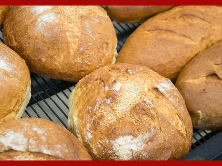 Laurent Stone Bread Loaves