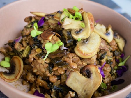 Lentil Mushroom Risotto Gluten Free