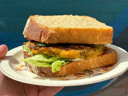 Vegan Sandwich : Spicy Harvest