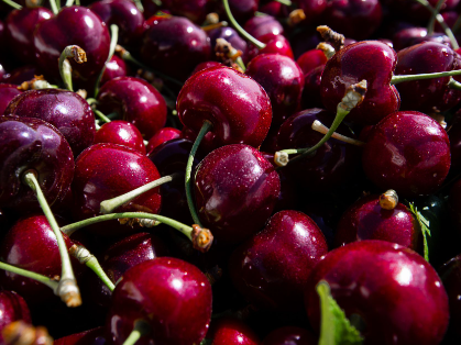 Fresh Cherries (kg)