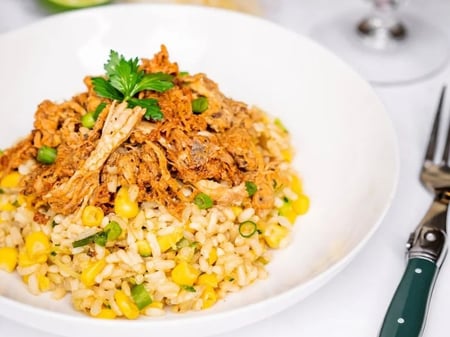 BBQ Pulled Pork with Brown Rice - Frozen