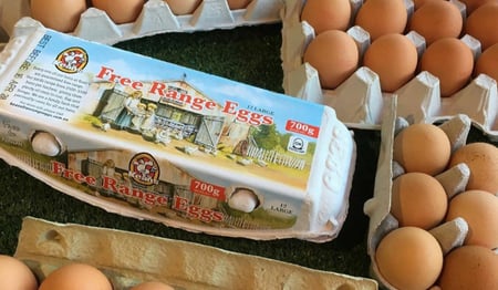 Eggs free range extra large