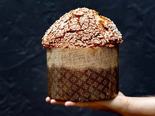 Classic Panettone