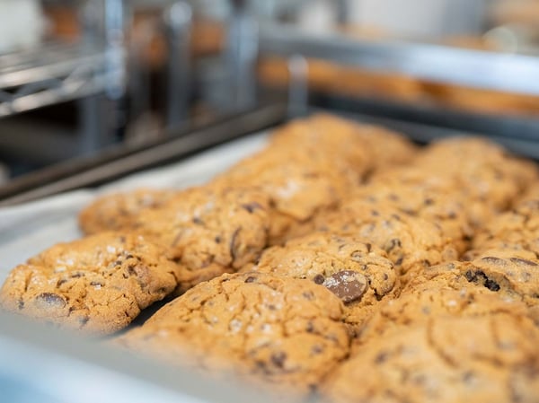 Choc Chip Walnut Cookies (Box of Four)