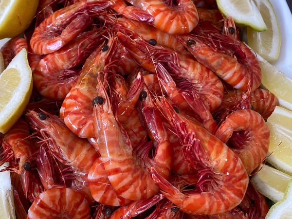 Queensland Tiger Prawns