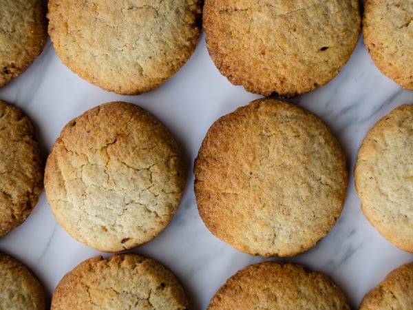 DIY Lemon Sugar Cookie Balls (FROZEN)