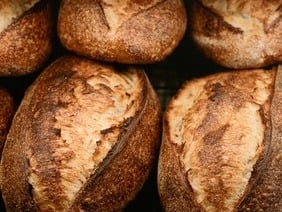 The Bread Social Sourdough