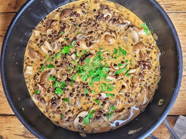 Mushroom & Lentil Stroganoff