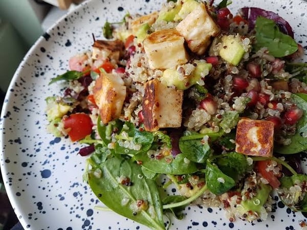 Grilled Haloumi Salad