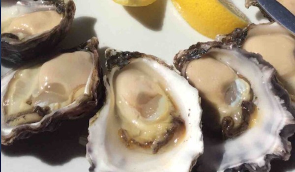 Local South Coast Sydney Rock Oysters - 1 dozen