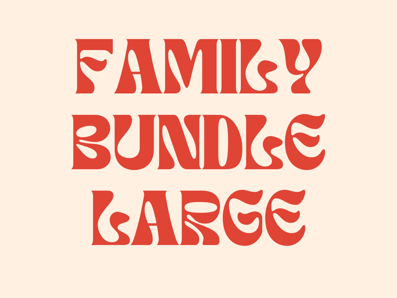 Family Bundle - Large