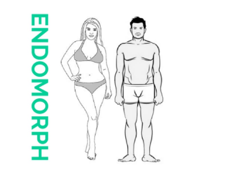 Endomorph Meals