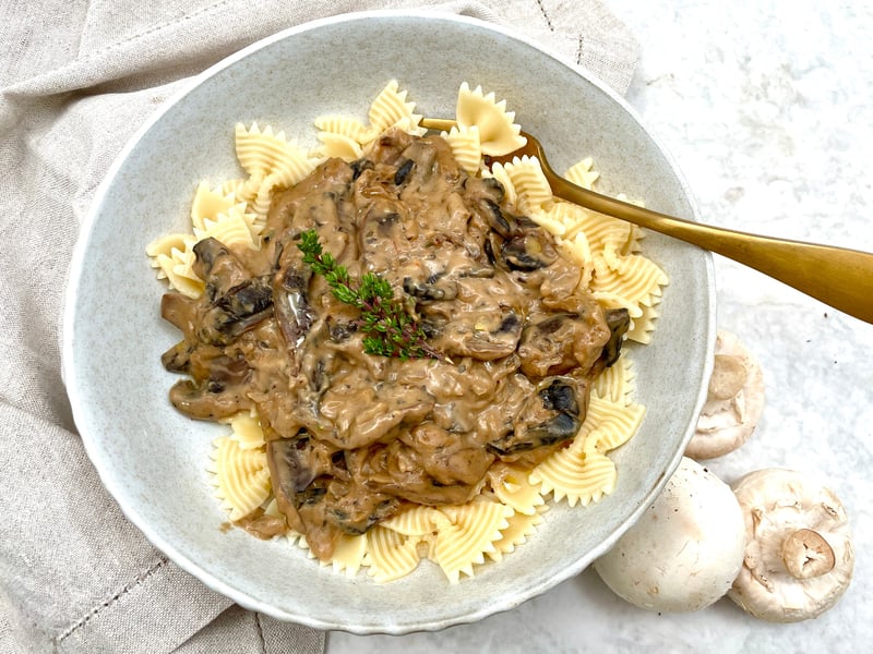 Mushroom stroganoff with fettucine