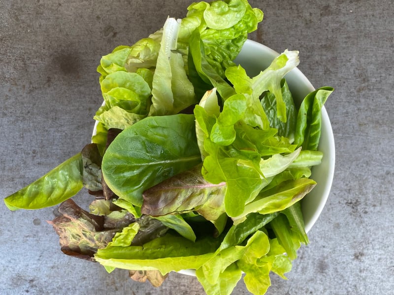 Eltham Valley Mesclun Mix