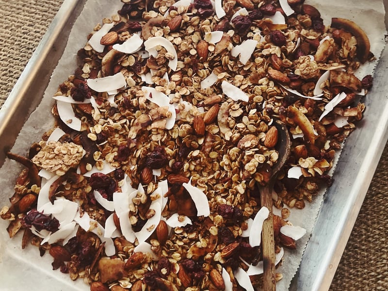 Coconut & Cranberry Granola (VG/GF)