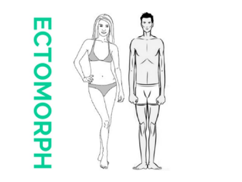 Ectomorph Meals