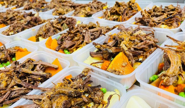 Slow Cooked Pulled Honey Soy Brisket with Roast Vegetables Regular