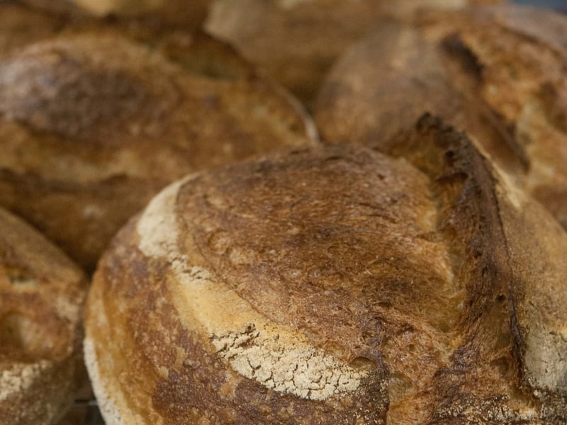 Sourdough Bread