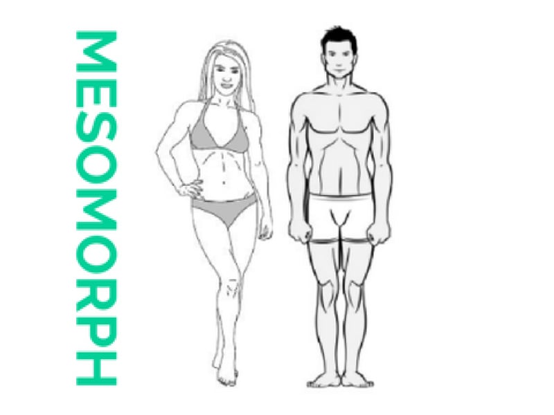 Mesomorph Meals