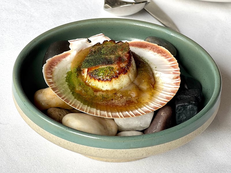 Scallop, Burnt Onion Puree, Pancetta